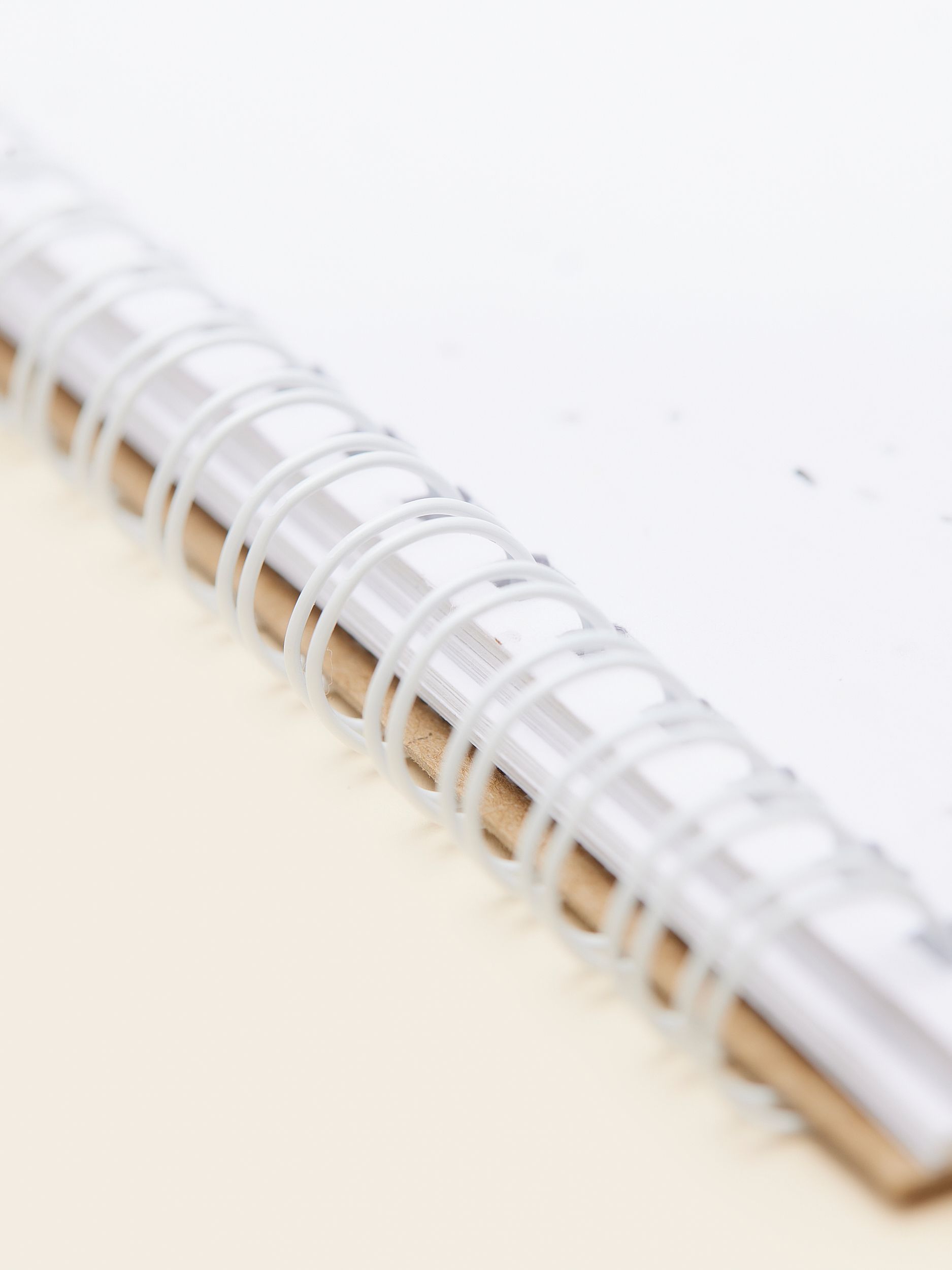 Seed_paper_notebook_MERCHERY_SEPT_24_4539_Details_2_1_77c3b73fe0.jpg