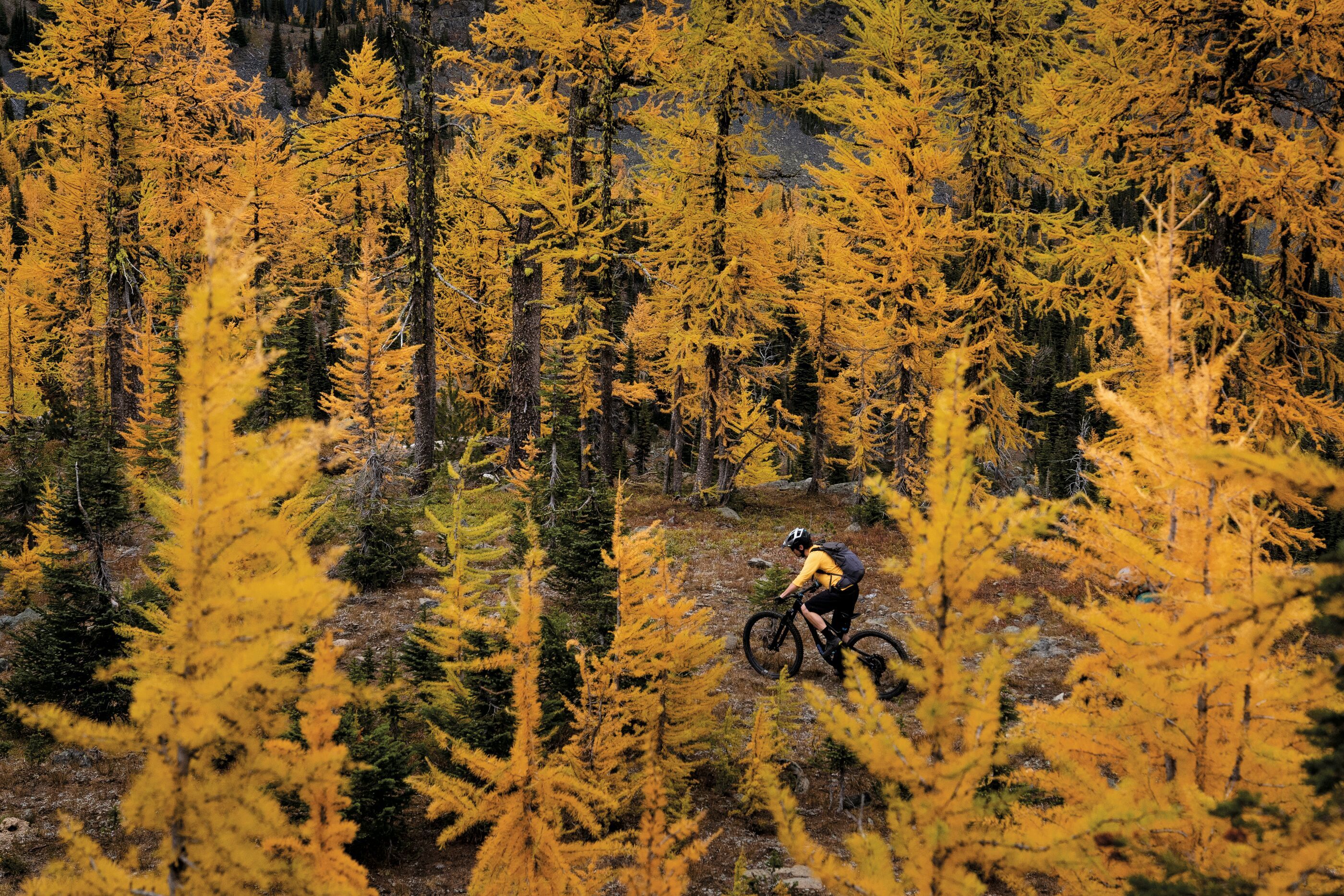 Web_Large_obrien_marc_0090_BP_c1ff804492.jpg